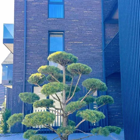 Lex Appartamento Palanga