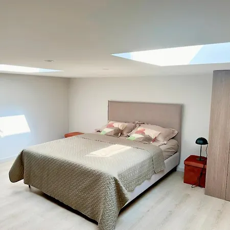 Lex * Паланга